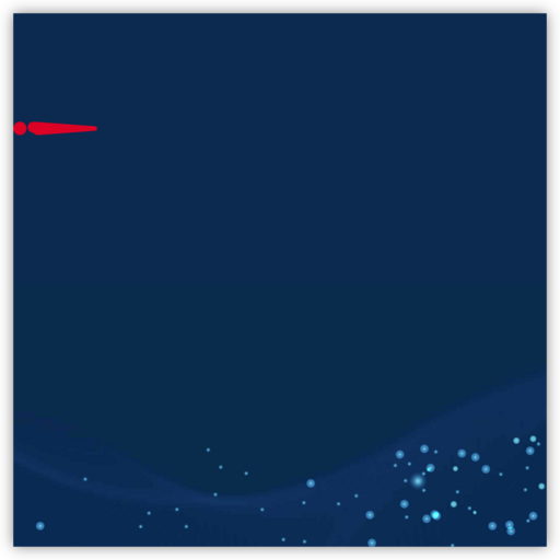 世窗信息股份有限公司